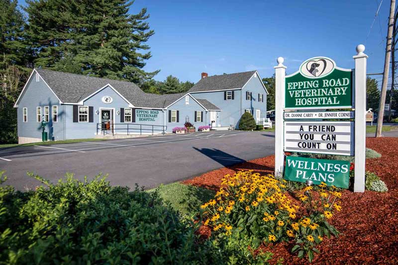 Veterinary Hospital