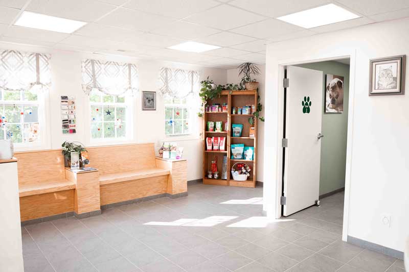 Veterinary Lobby
