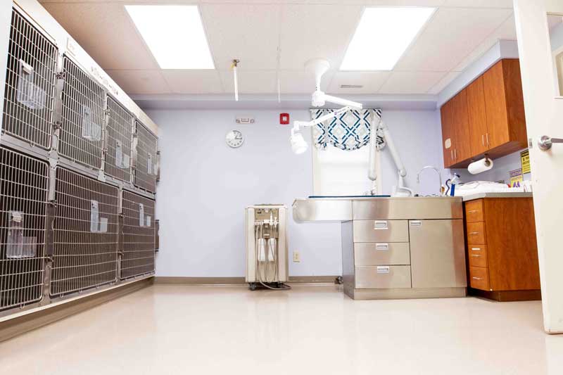 Treatment Area