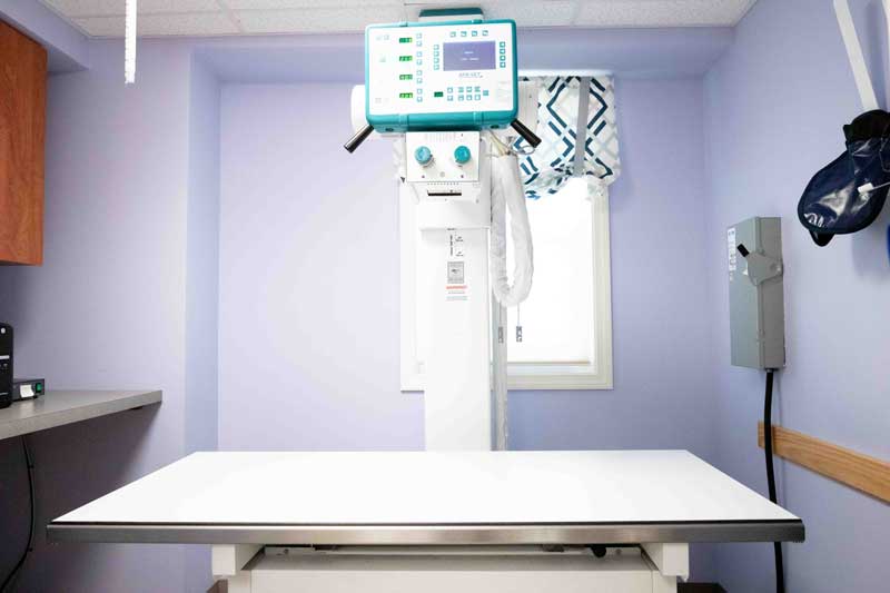 Digital Radiology