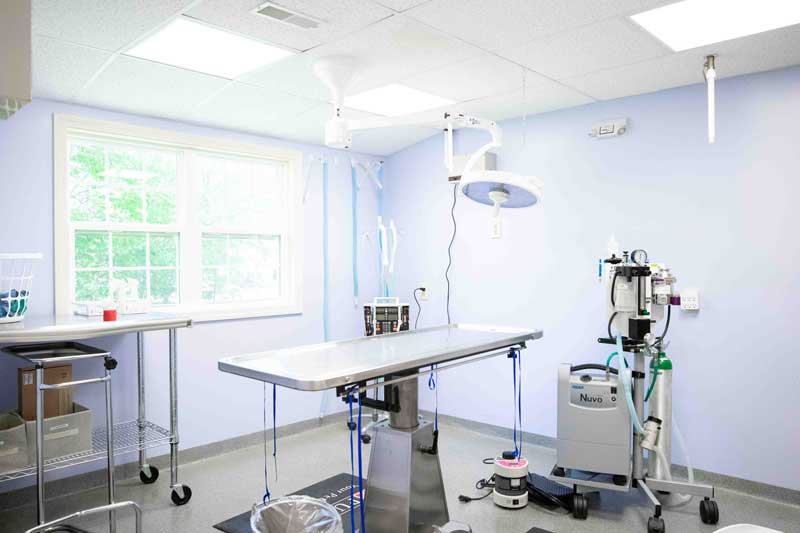 Surgery Suite