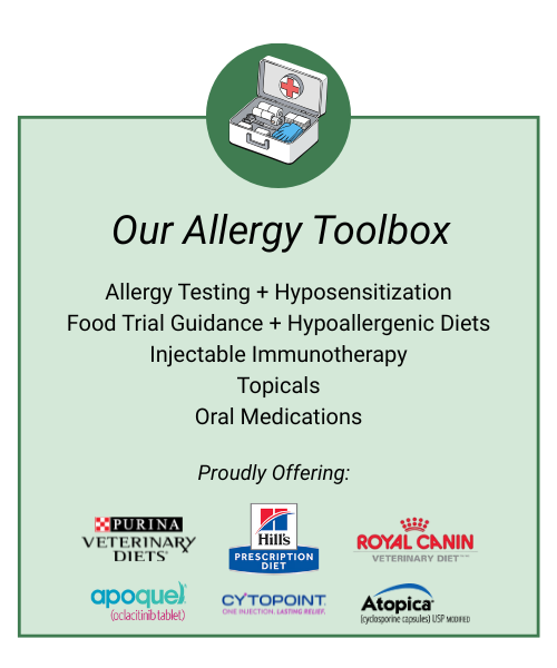 Allergy Toolbox